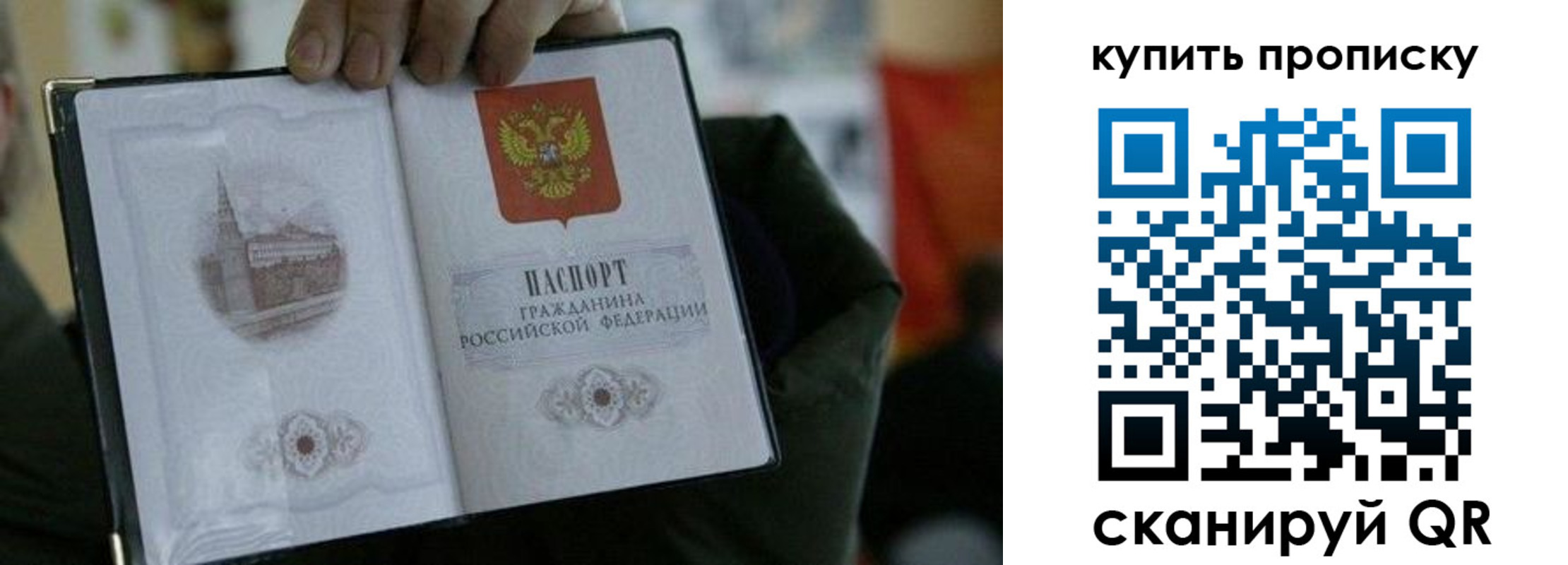временная регистрация поиск в Котласе
